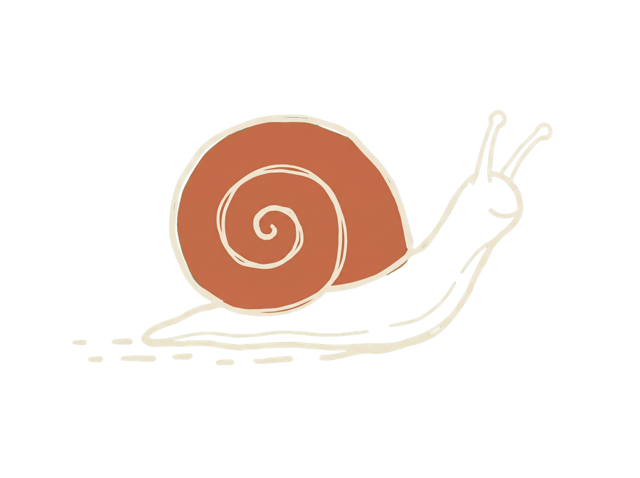 The snail